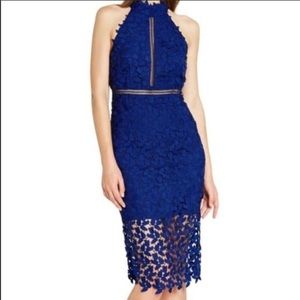 BARDOT WOMEN'S BLACK LACE EMBROIDERED HALTER NECK GEMMA DRESS